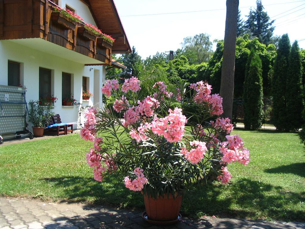 Sommer Panzio Balatonföldvár 외부 사진